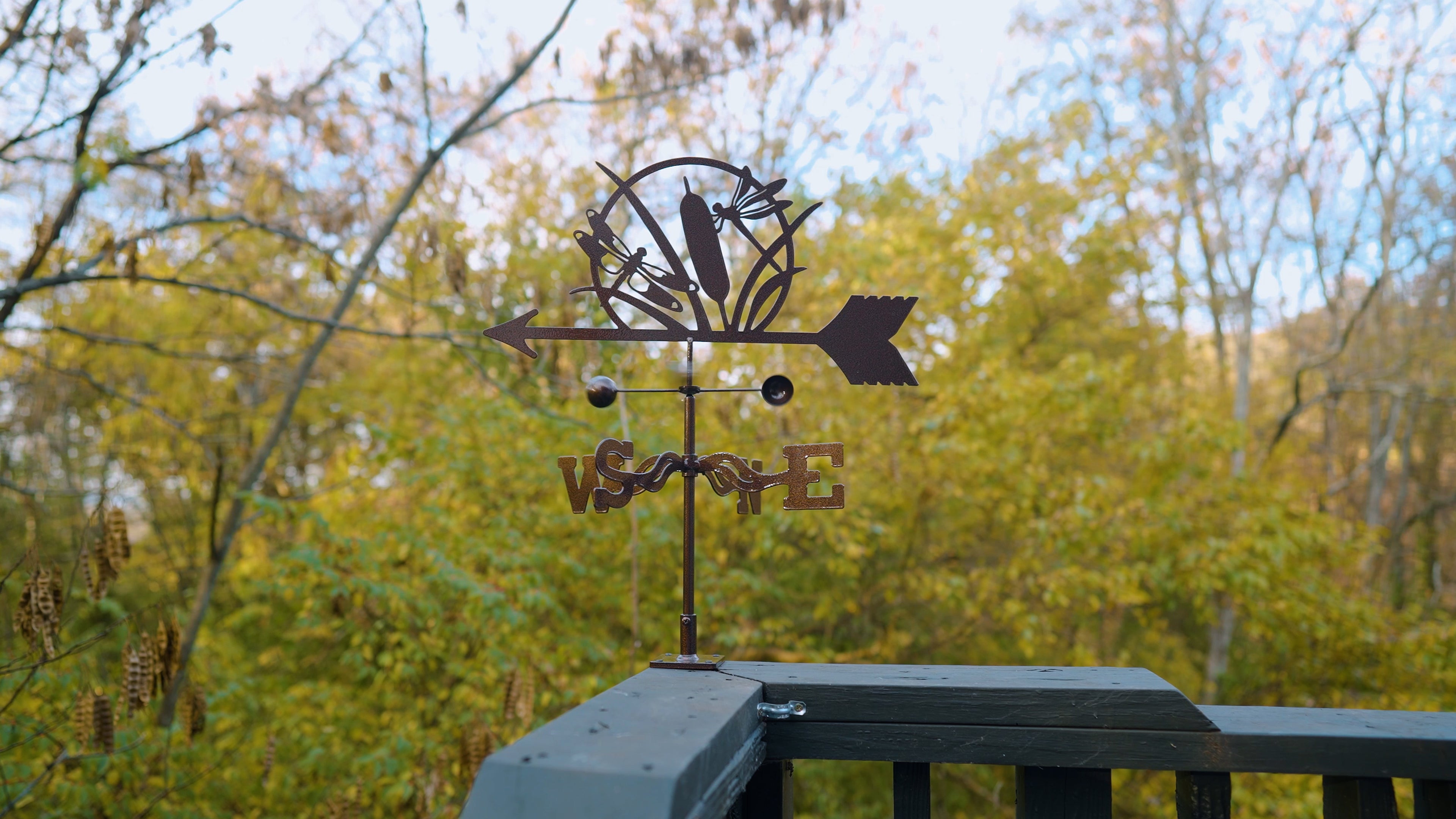 Dragonfly Weathervane