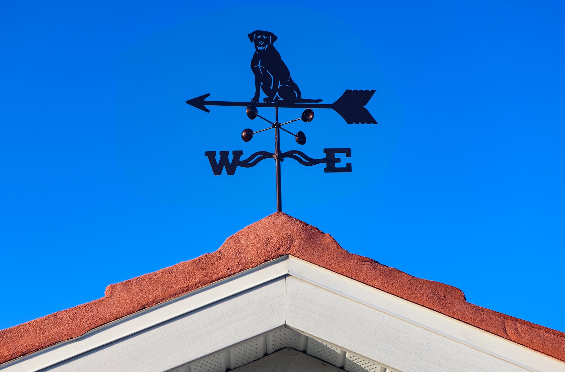 Lab Sitting Weathervane