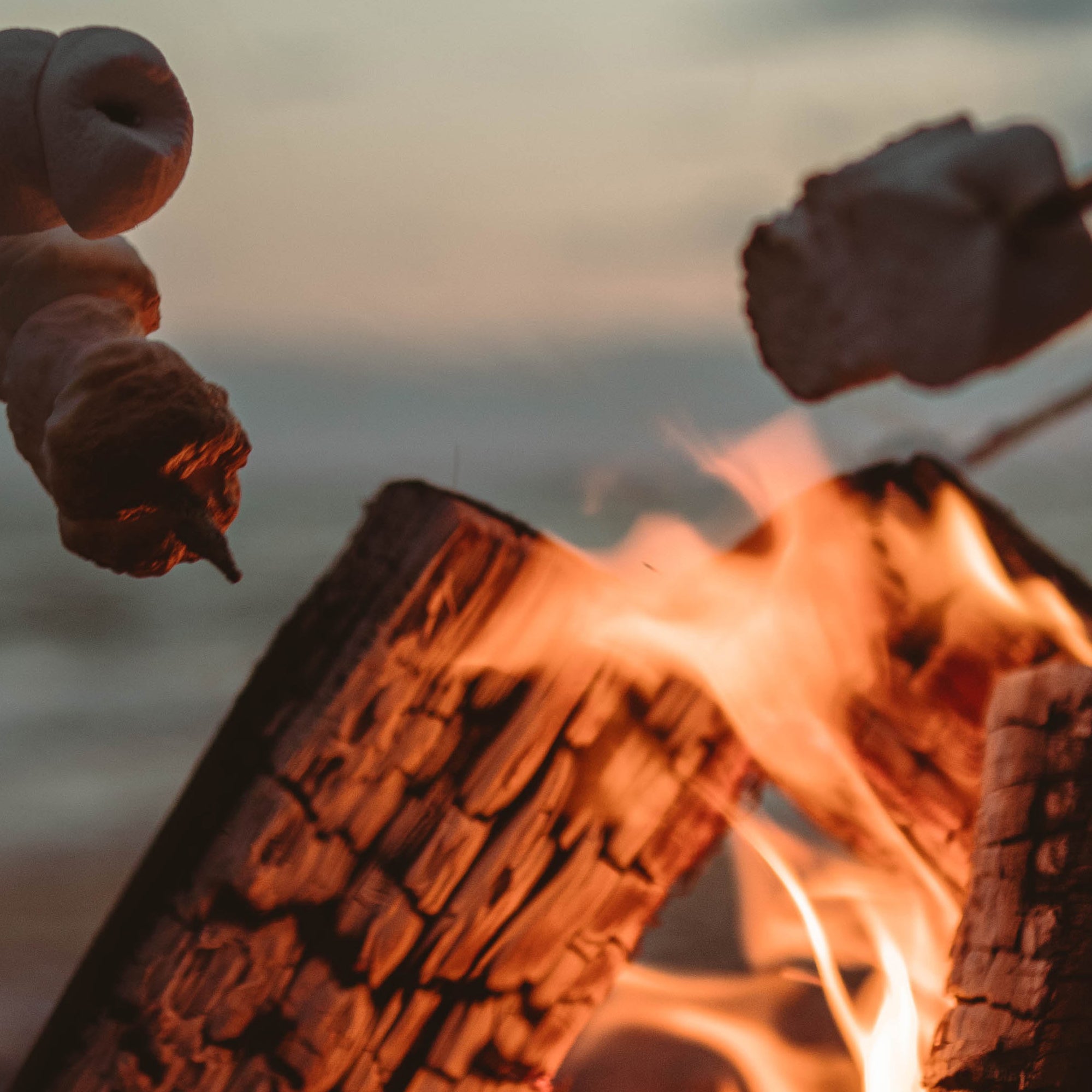 Fire Rings EZ Vane Weathervanes